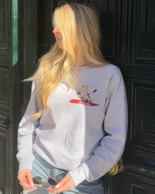 Le pull ours de glace