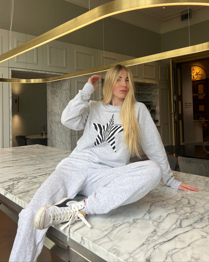 Le pull Zèbre