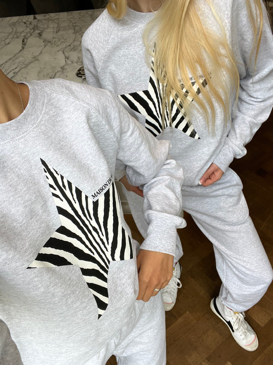 Le pull Zèbre