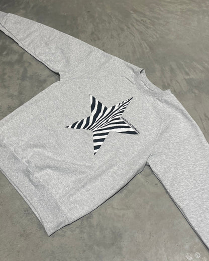 Le pull Zèbre