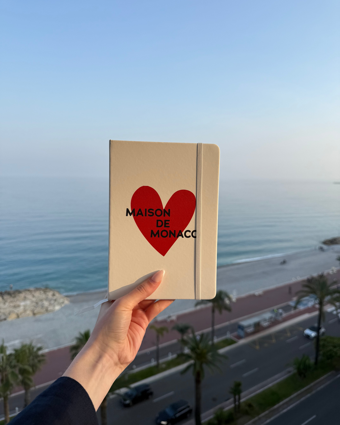 The Amore notebook