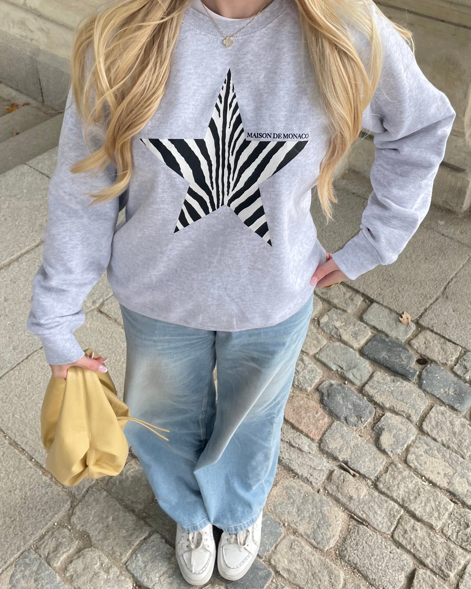 Pull Zébré CarMontana